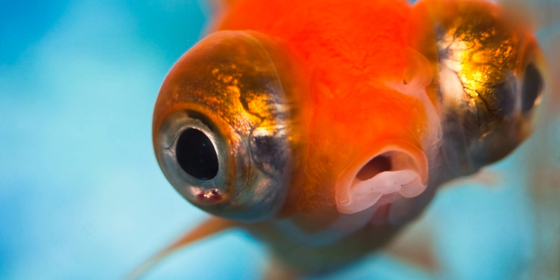 School Film School Vidoes